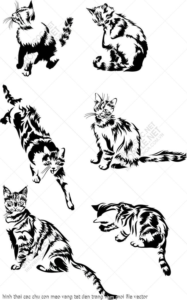hinh thai cac chu con meo vang tet den trang nam moi file vector